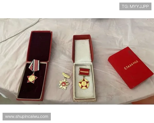 南京乒乓球队奋斗历程的真实记录与精神传承