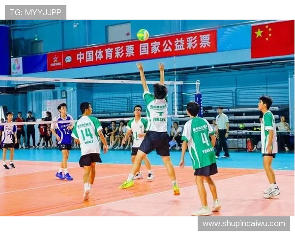 广州排球队团队协作能力大幅提升创新高引领全国排球新风潮