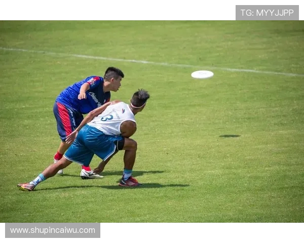 杭州飞盘队的力量与技巧分析探索飞盘运动的魅力与团队协作精神