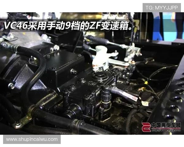 独家解析上海攀岩队训练节奏与其他队伍的差异与影响