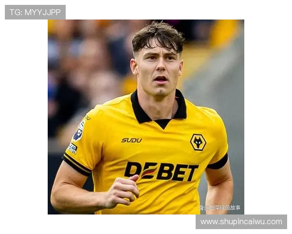 埃弗顿与狼队对决前瞻及比分预测分析，谁将赢得这场关键战役