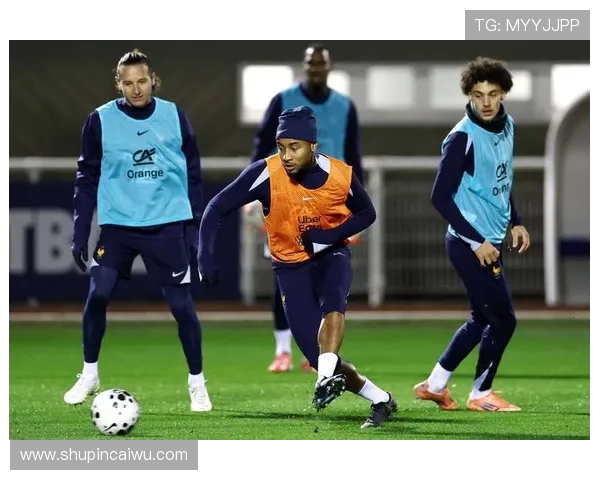 法国与澳大利亚足球对决精彩回顾与赛后分析