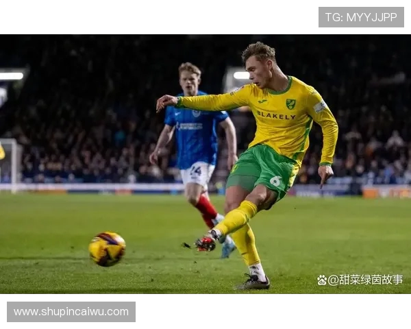 诺维奇主场迎战卡迪夫全力争胜期待精彩对决