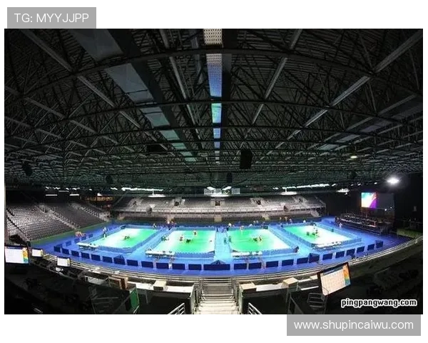 南京乒乓球队转型之路的挑战与机遇全景揭秘