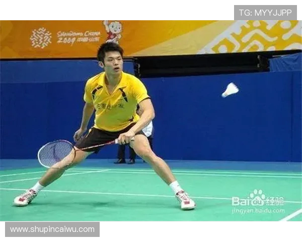 南京羽毛球队控制打法深度分析与战术探讨 南京羽毛球队控制打法深度分析与战术探讨