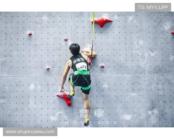 武汉攀岩队的节奏与挑战：聚焦攀岩运动的热情与发展