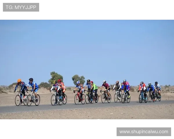 国际邀请赛分析：TES团队协作能力的深度剖析与表现评估