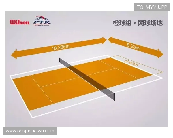 广州网球队状态深度对比分析及未来发展趋势探讨