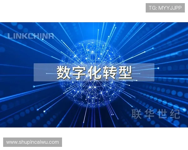 深圳排球队在钻石联赛中的转型与崛起之路探索与挑战并存的全新篇章
