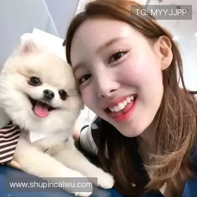 魏花梦